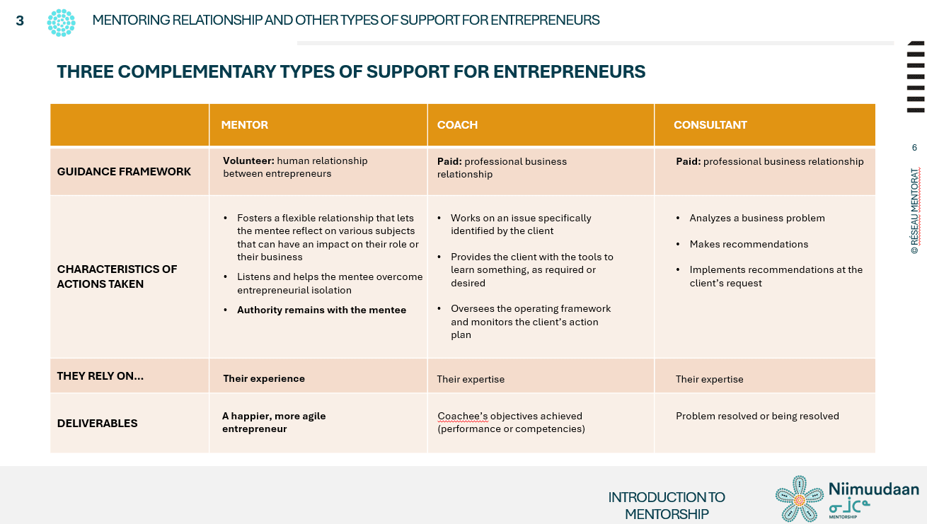 Text-mentor-Coach-Consultant.